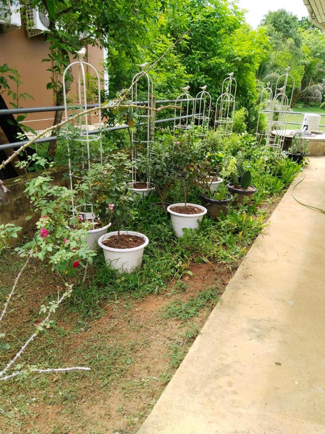 Thanid House Ban Nai Khlong Ngoại thất bức ảnh