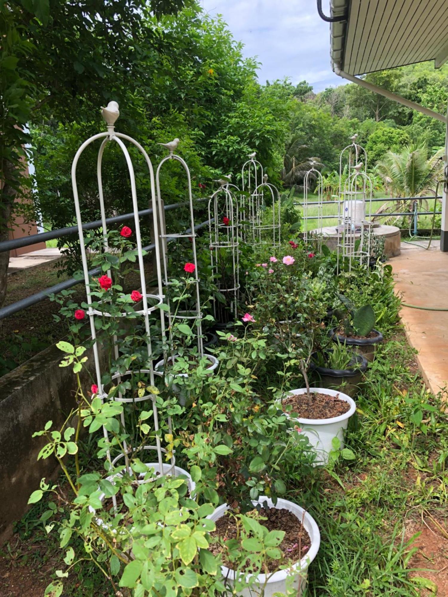 Thanid House Ban Nai Khlong Ngoại thất bức ảnh
