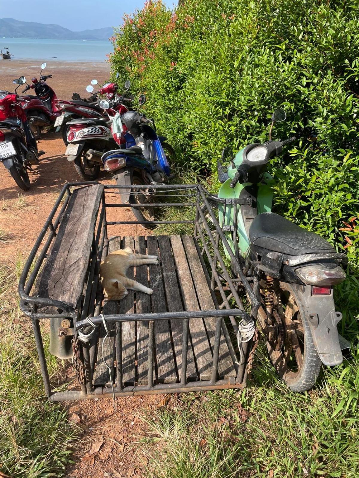 Thanid House Ban Nai Khlong Ngoại thất bức ảnh